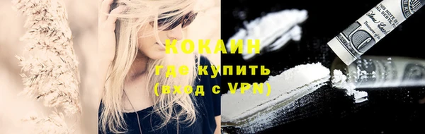 стаф Балахна
