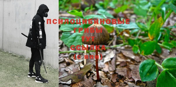 крисы Касимов
