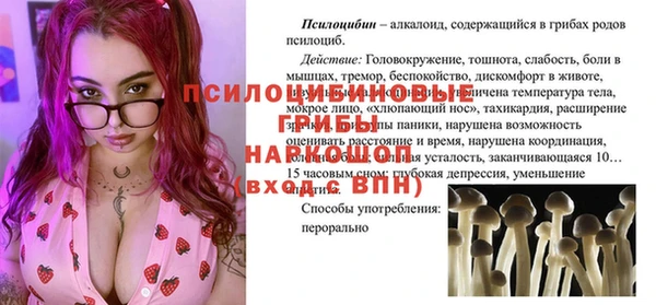 амф Баксан