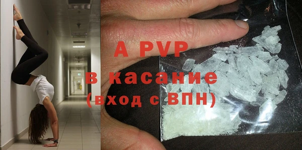 стаф Балахна